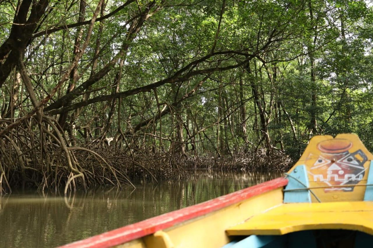 Marajo - Turismo De Experiencia Soure